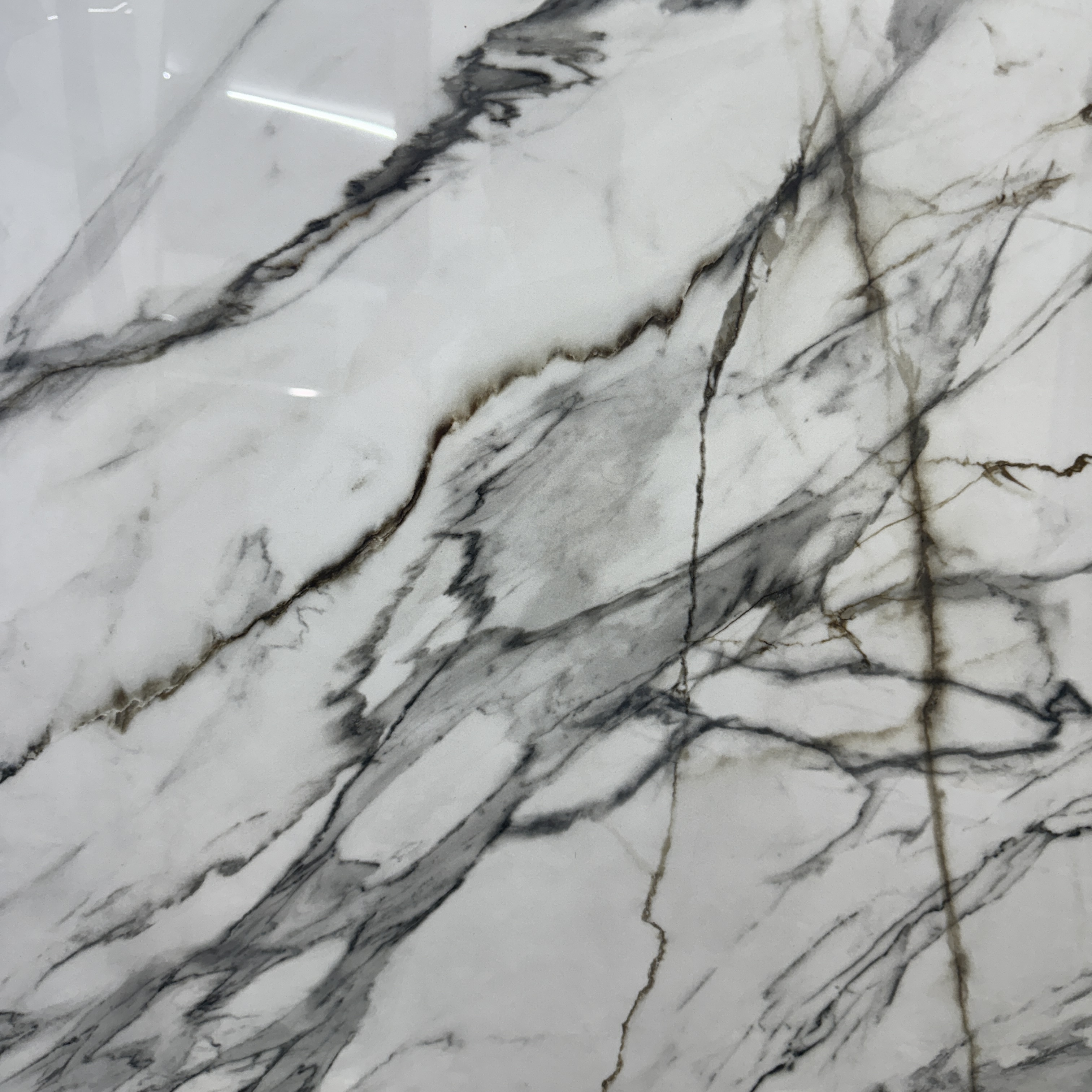 Grisborne 24'' x 24''