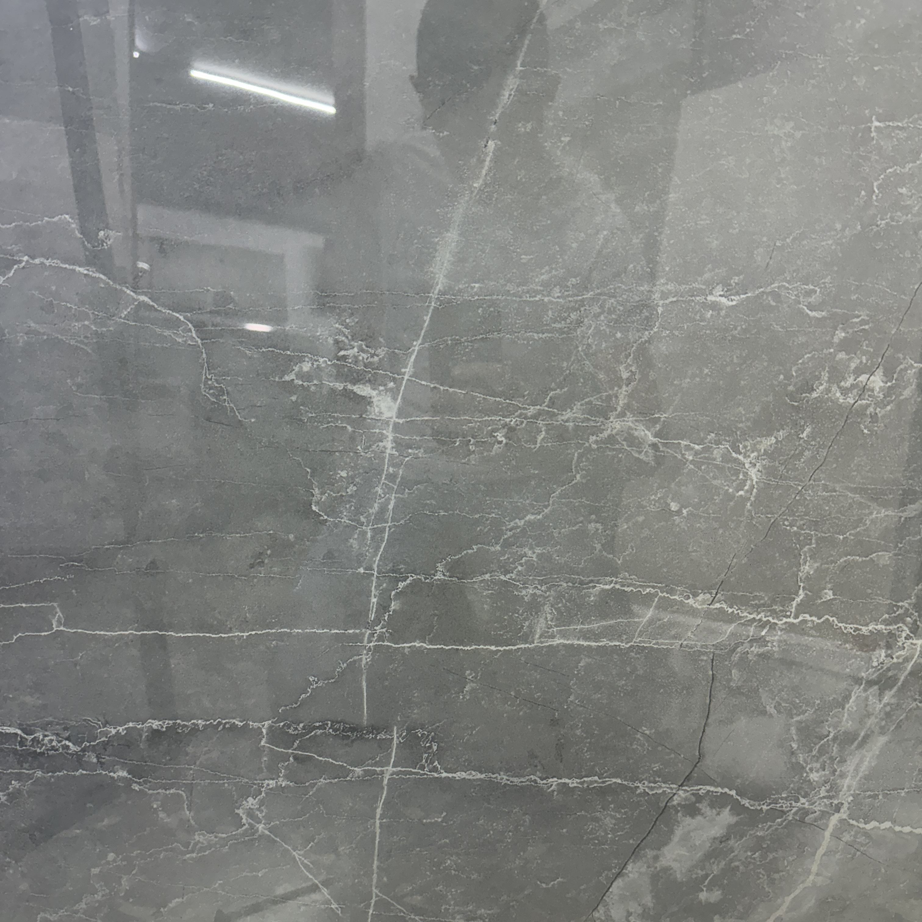 Meena Gray 24'' x 24''