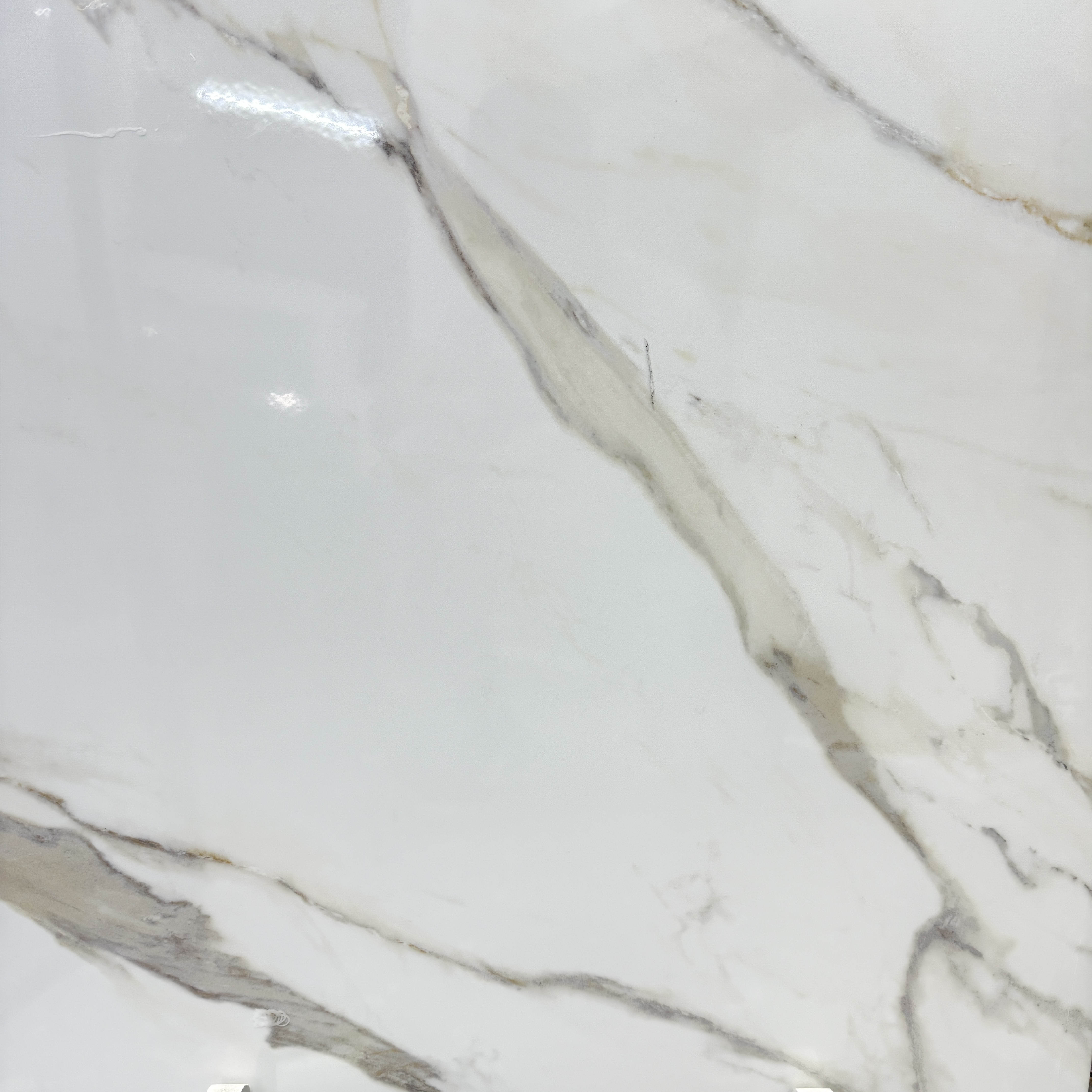 Saler Gold Brillo 24'' x 24''