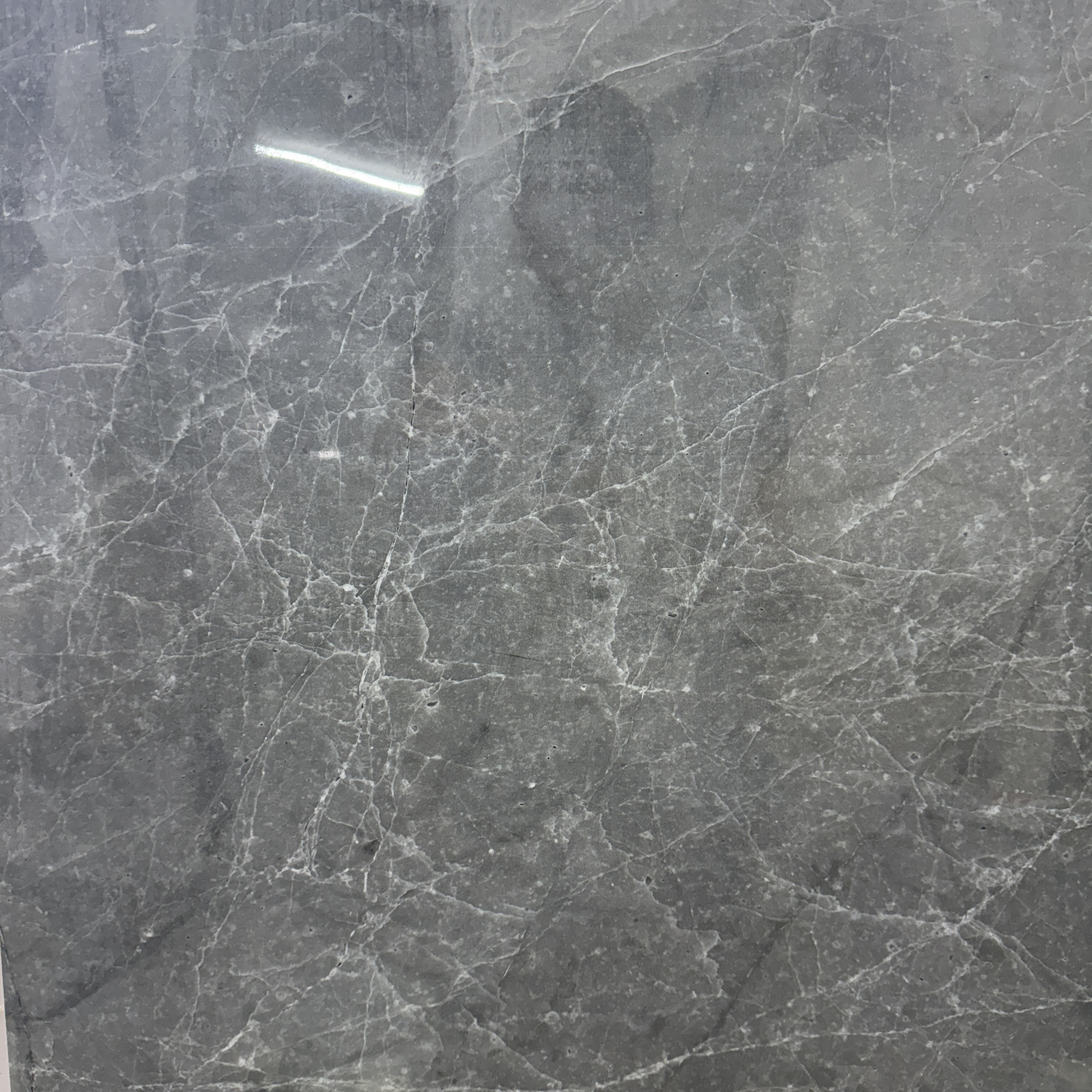 Spider Web Gray 24'' x 24''
