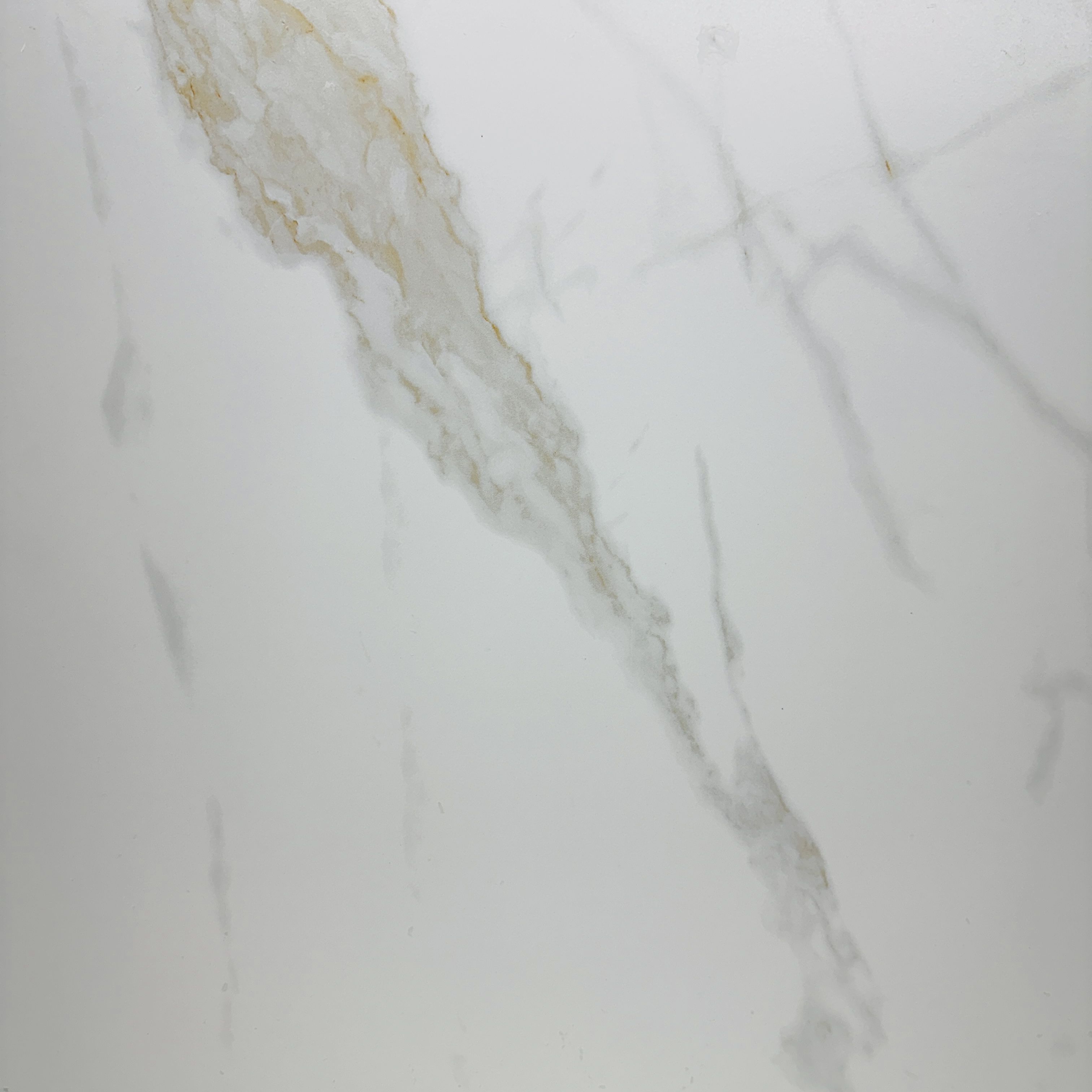 Satelite Matte 24'' x 24''