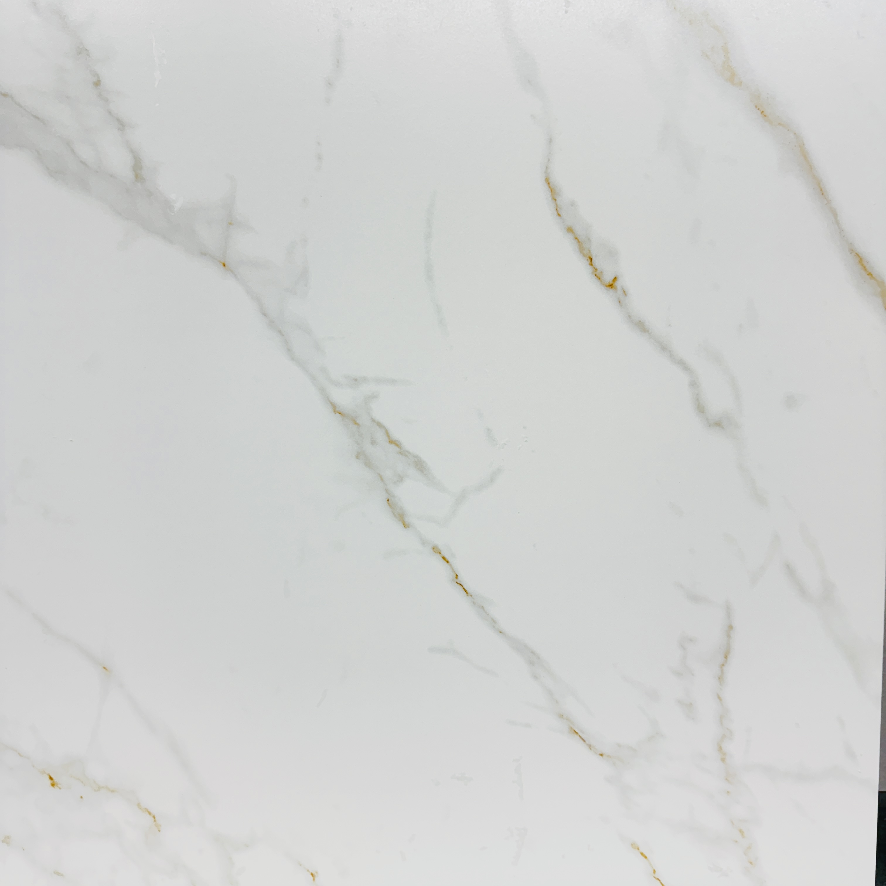 Satelite Matte 24'' x 24''