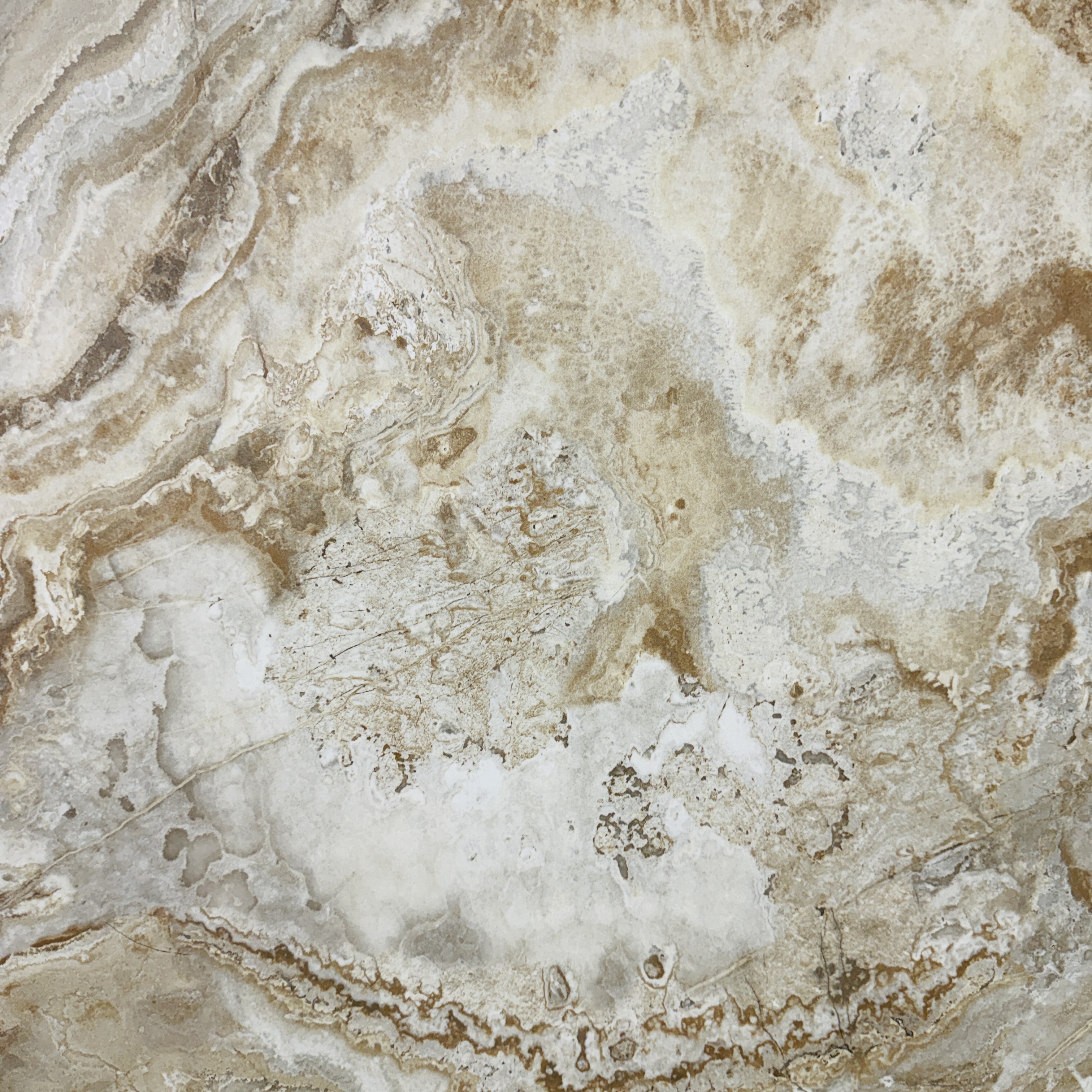 Oniciata 24'' x 24''