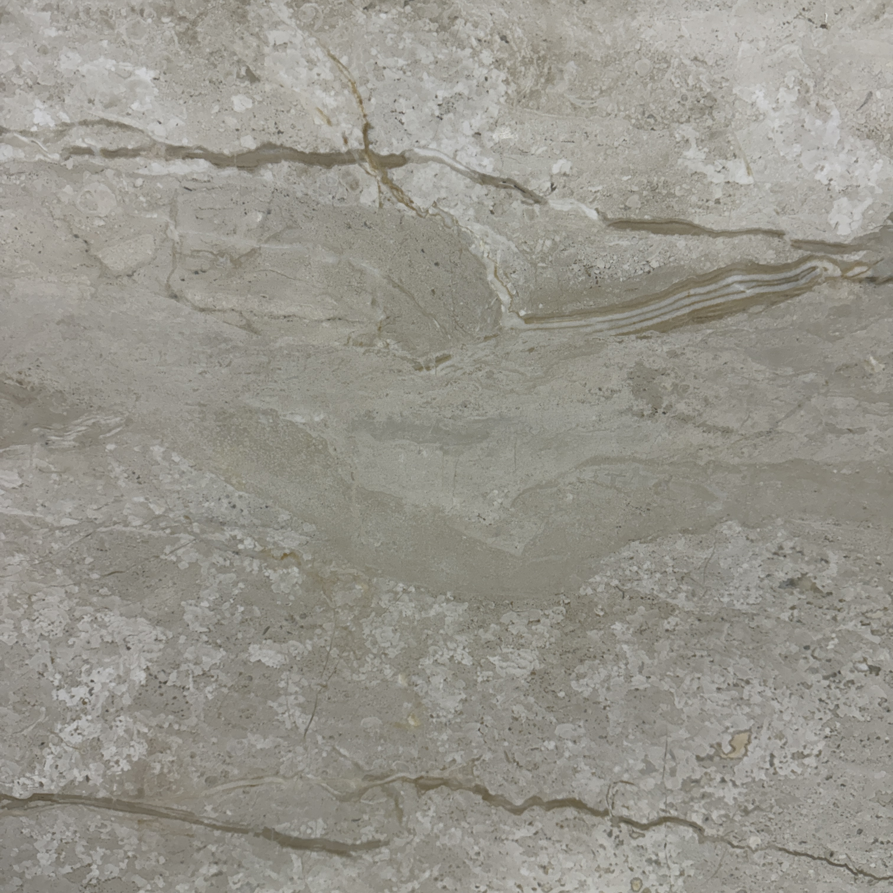 Lamego Beige 24'' x 24''