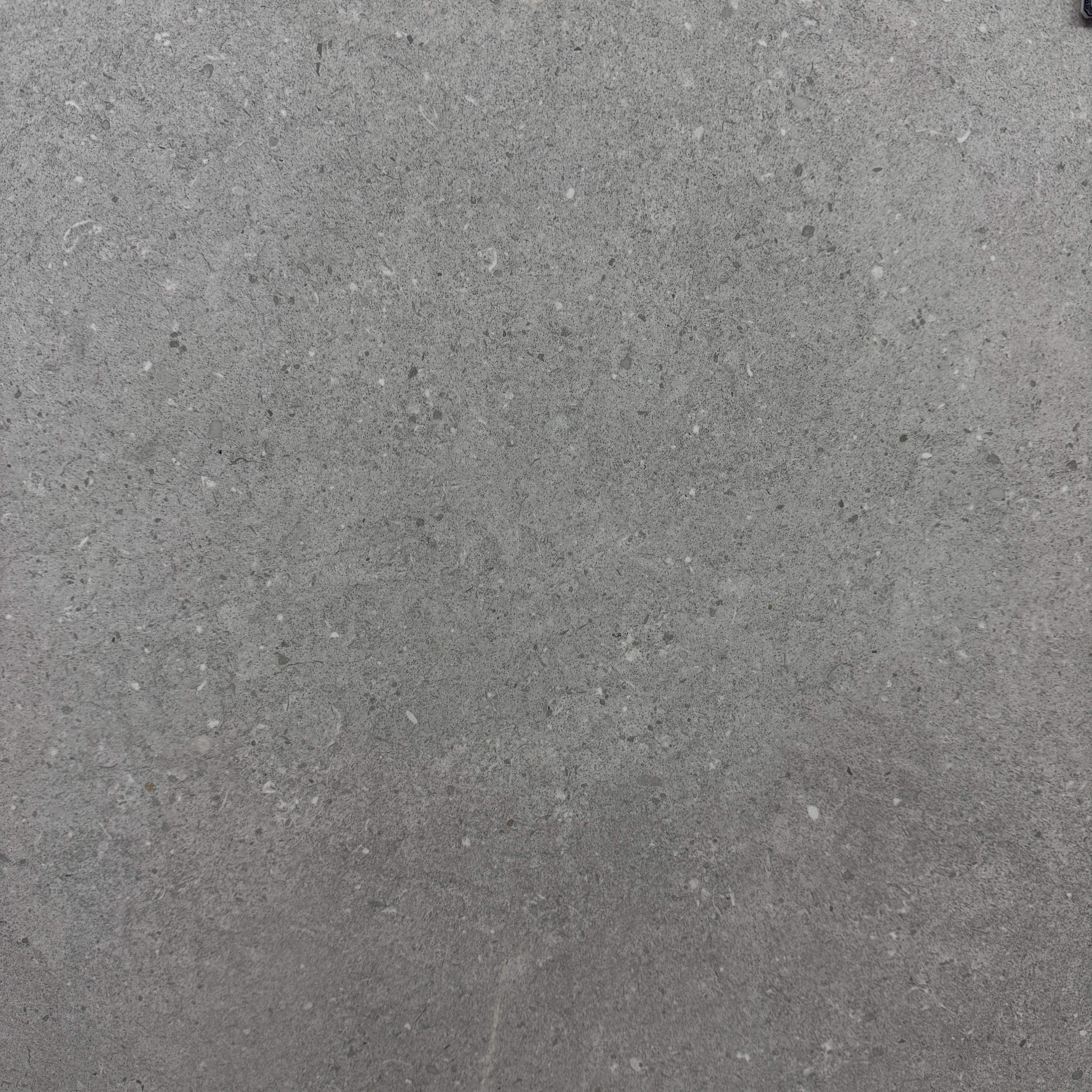 Earding Gray 24'' x 24''
