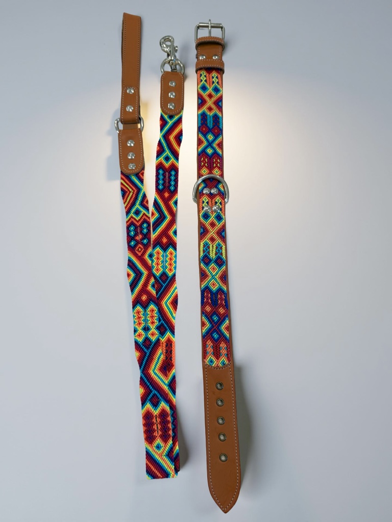 Rainbow Road Leash