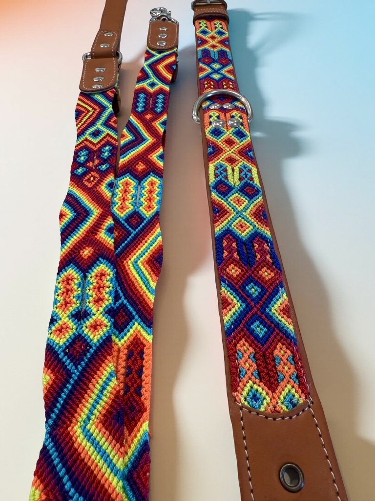 Rainbow Road Leash
