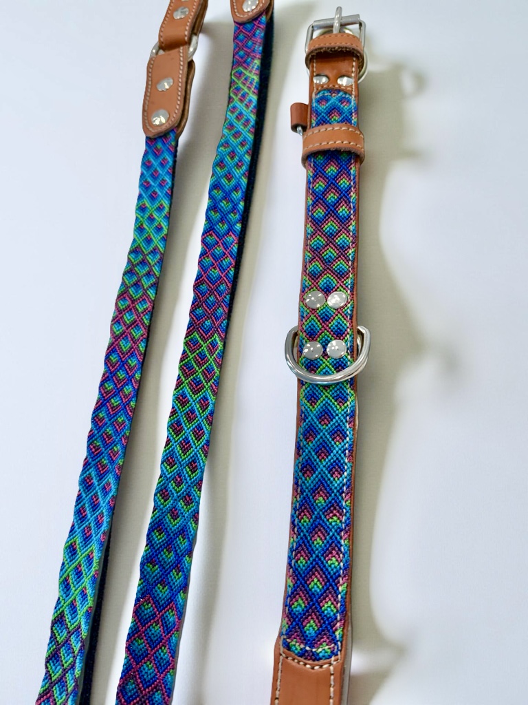 Boa Leash