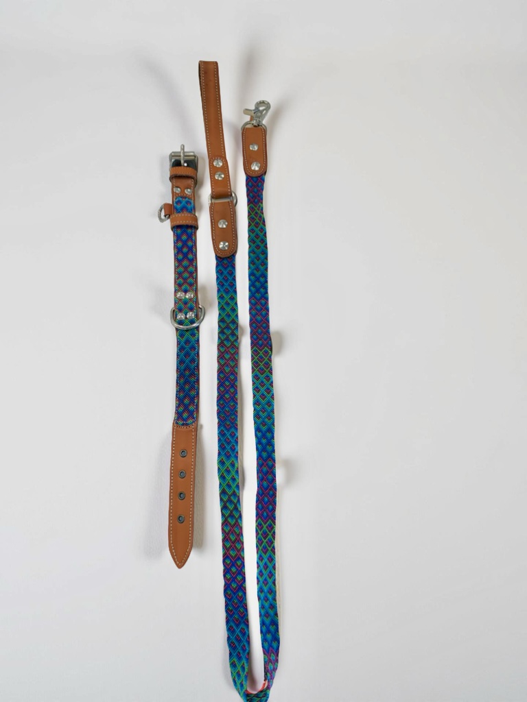 Boa Leash