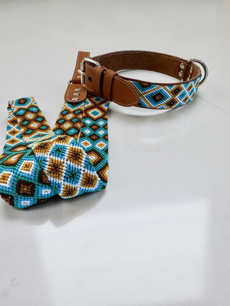Bruin Collar