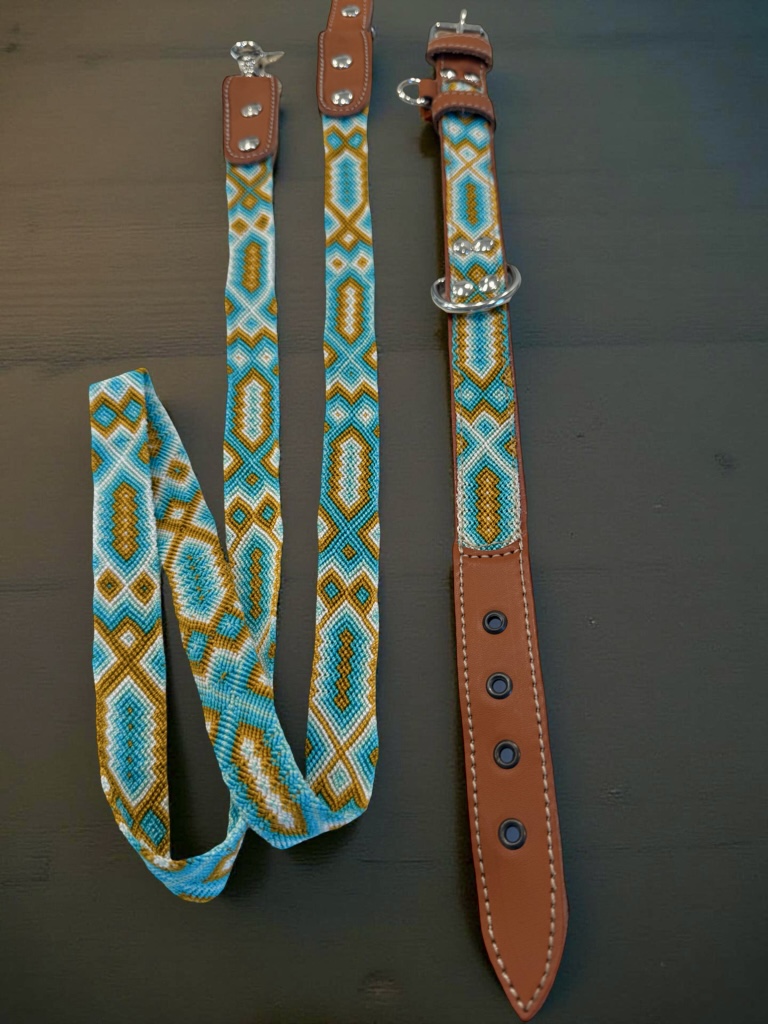 South Beach Leash