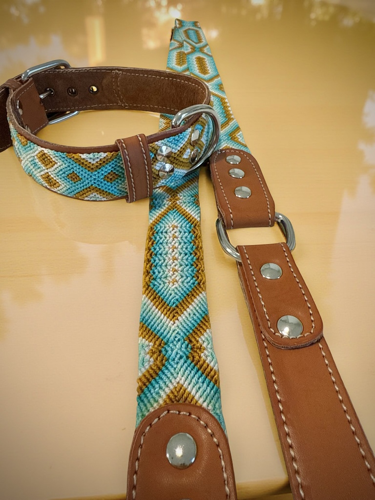 South Beach Leash