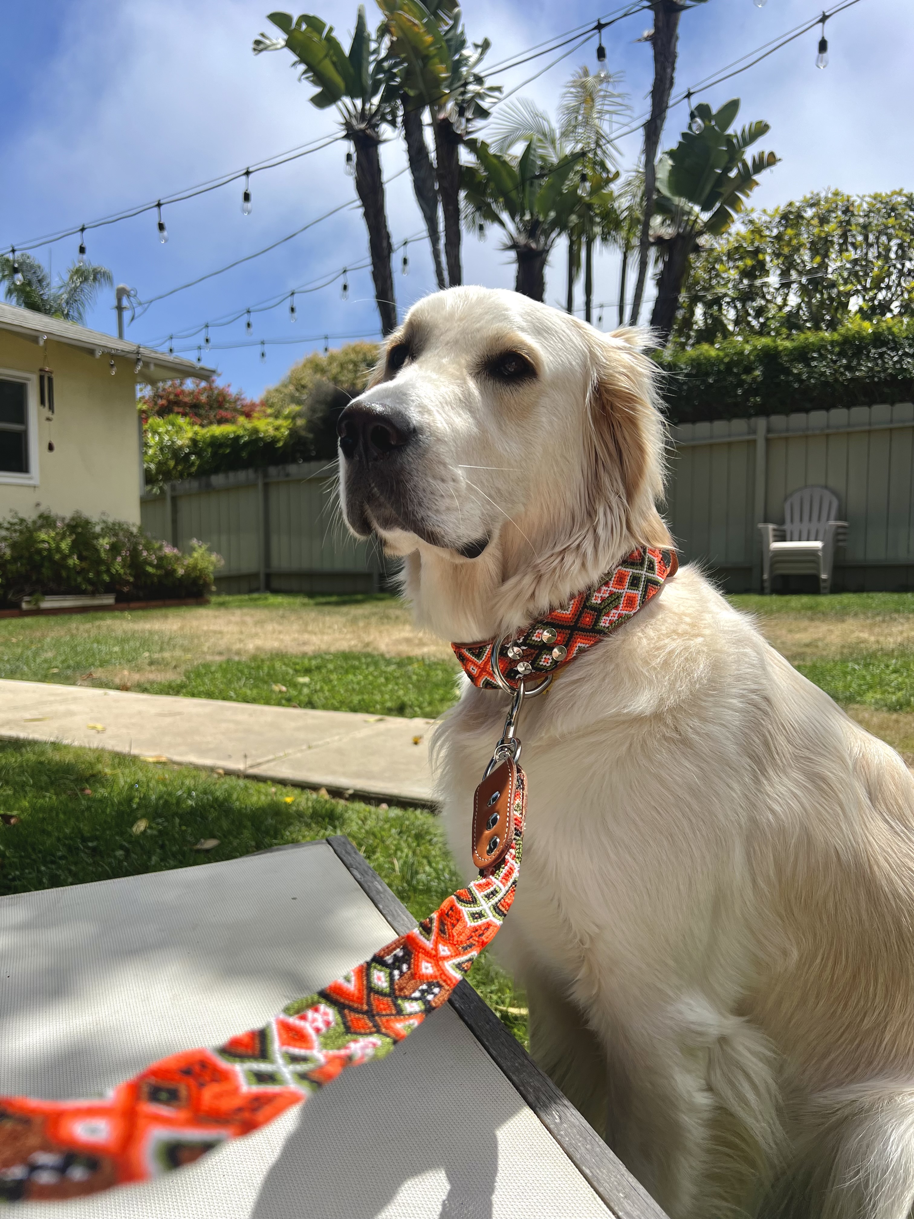 Telluride Collar