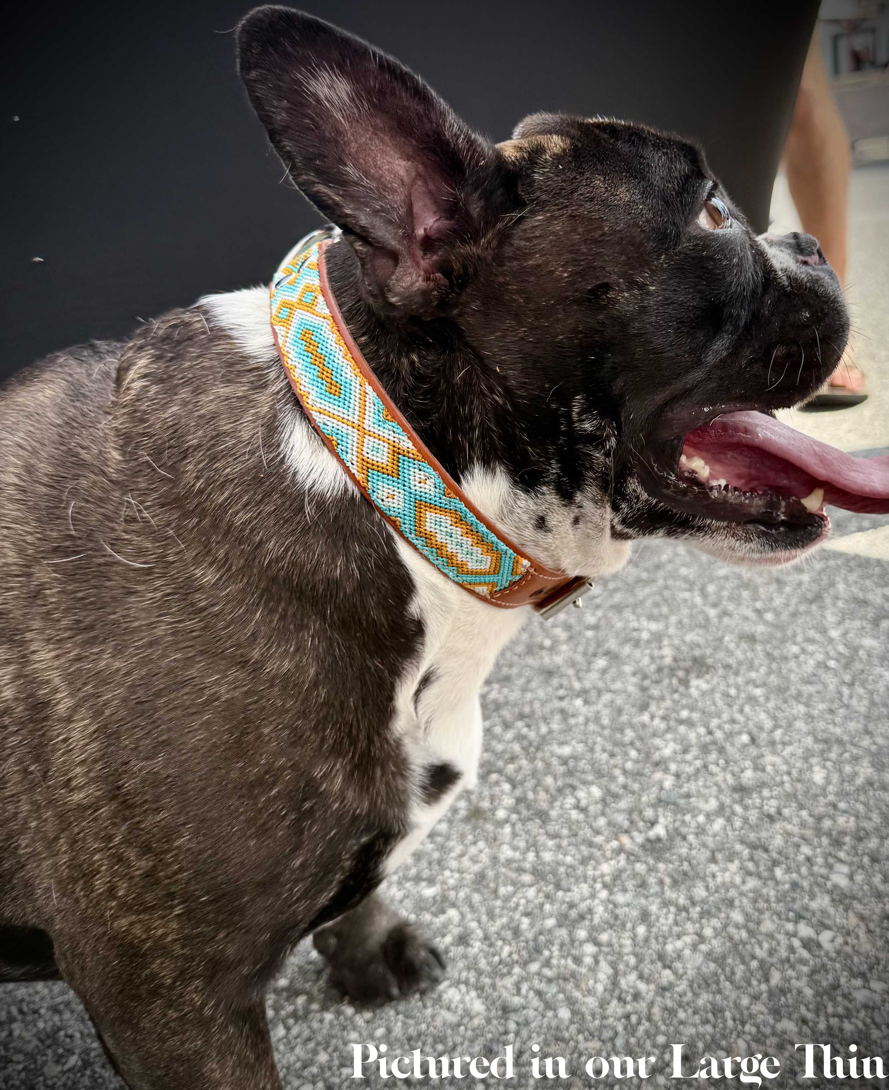 South Beach Collar