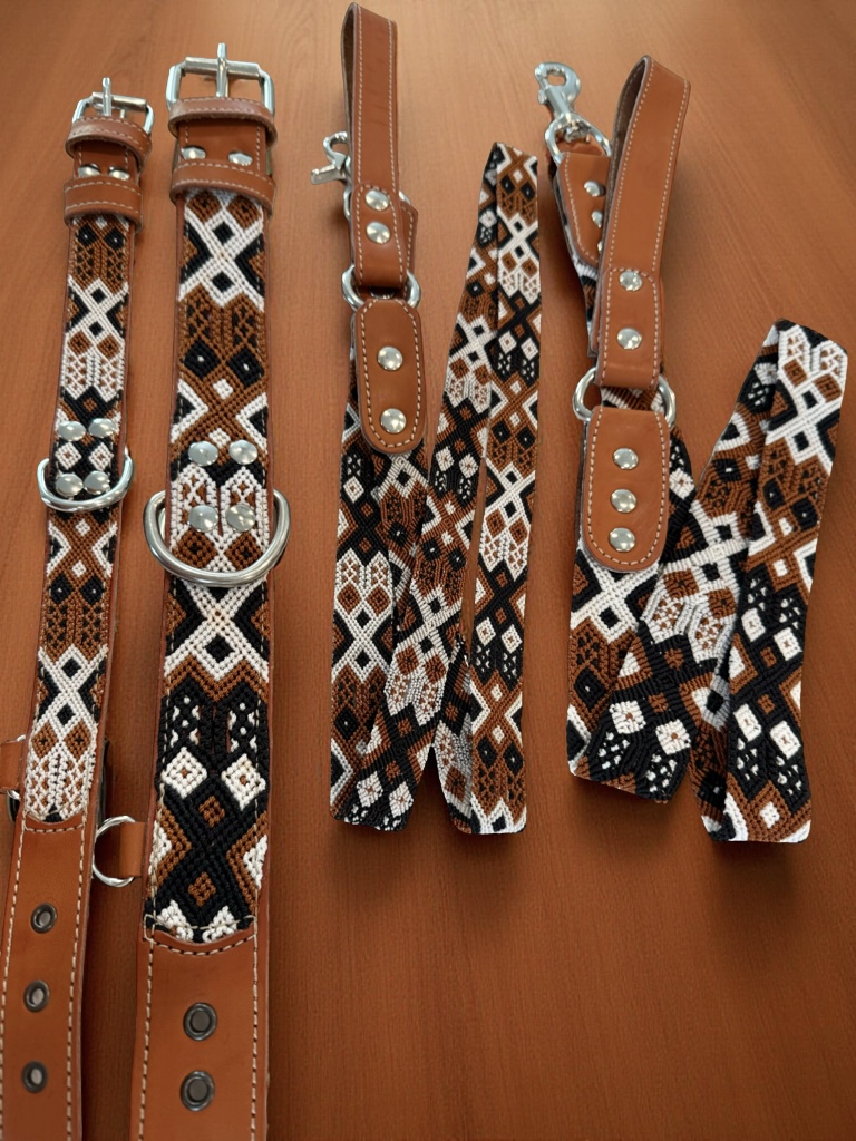 Auggie Collar
