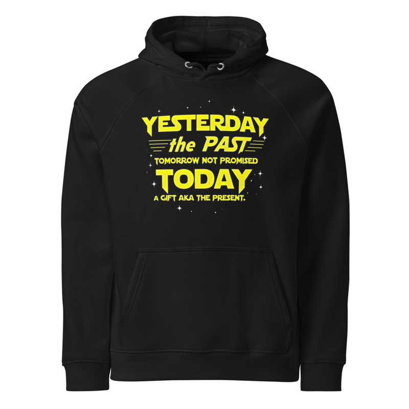 Today Gift Unisex Eco Raglan Hoodie