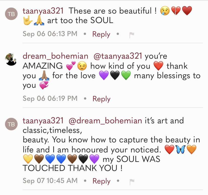 Boho Embroidered Flare Jeans