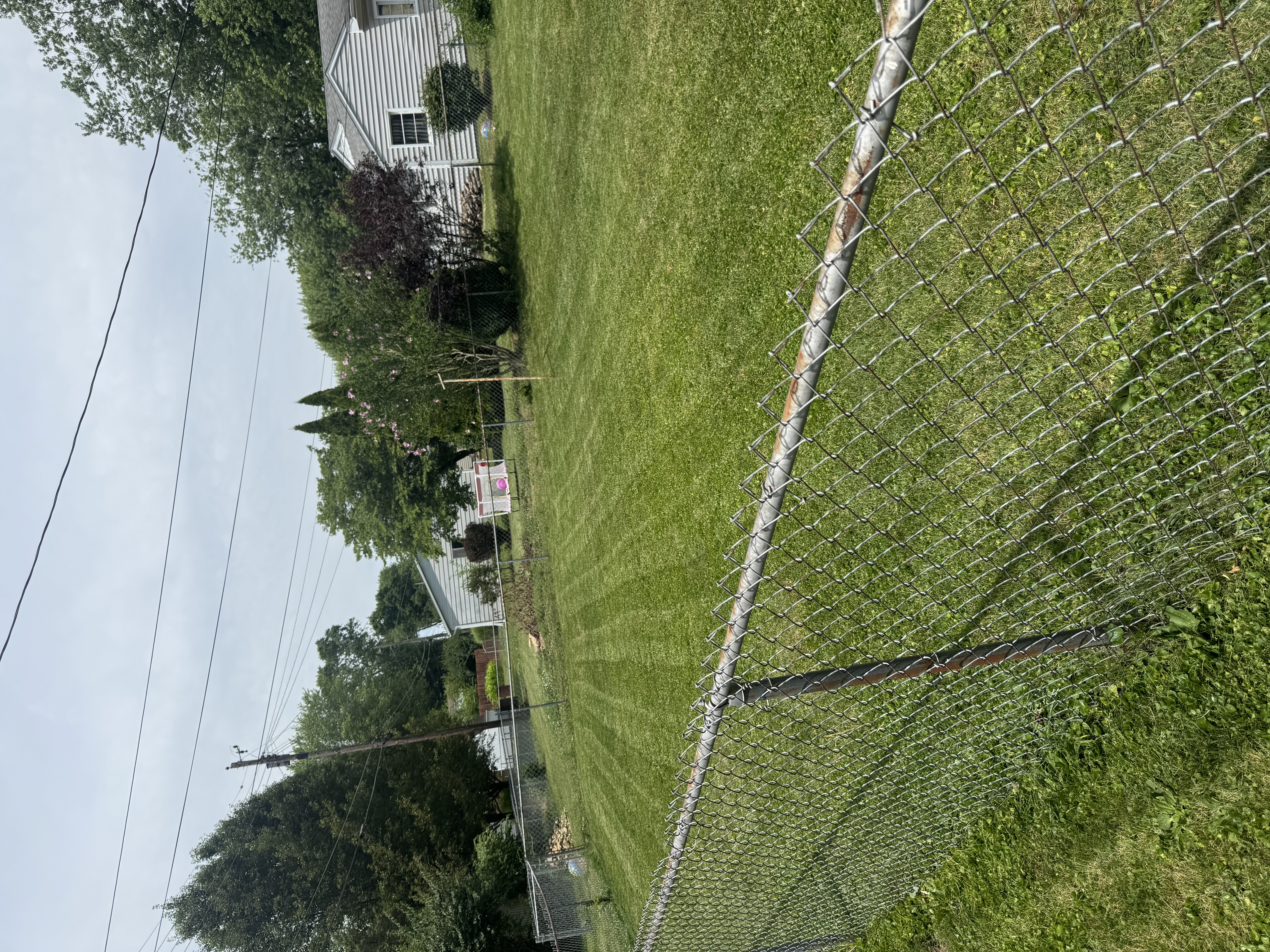 Small Yard Mowing