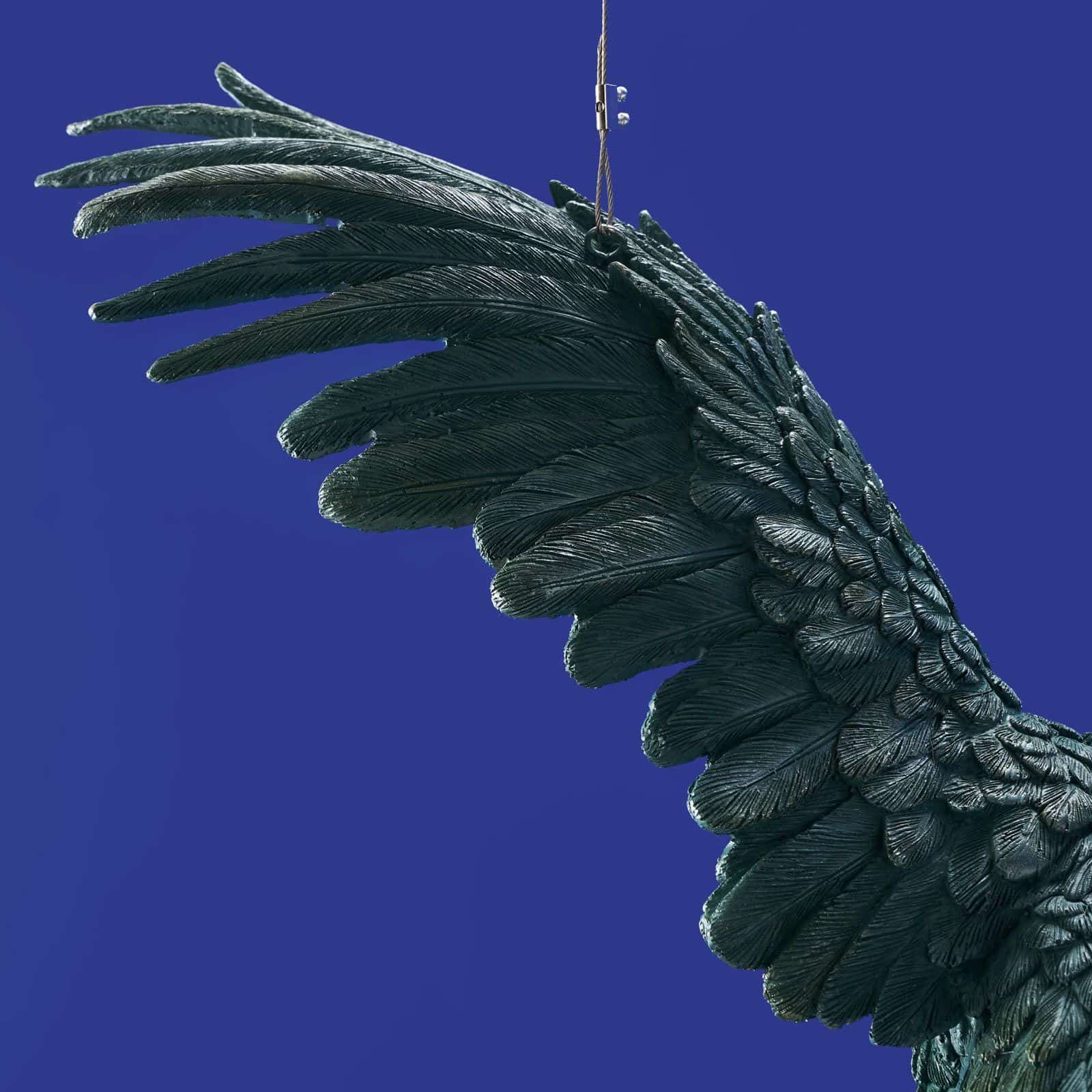 Lubinis šviestuvas papūga Persis, Werns