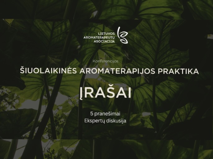 Konferencijos 2025 pranešimų įrašai