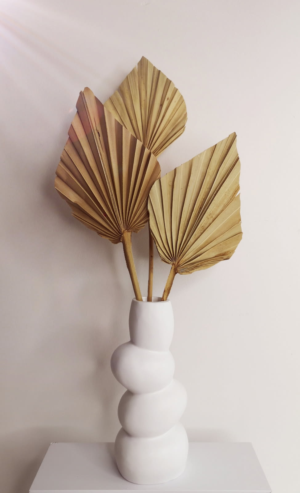 Vase design moderne avec feuilles séchées