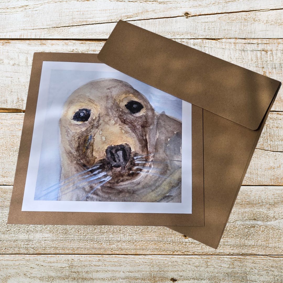 Cornish Grey Seal Print 