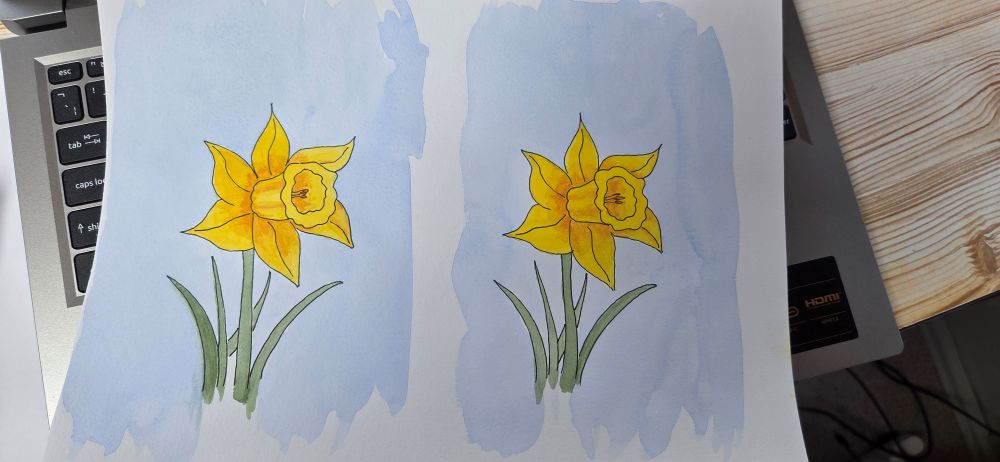 Bold bright Daffodil Original Painting