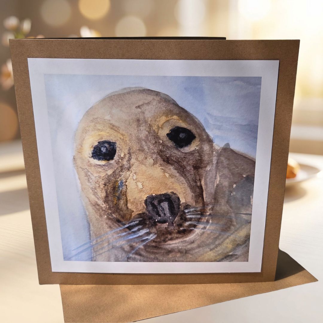 Cornish Grey Seal Print 