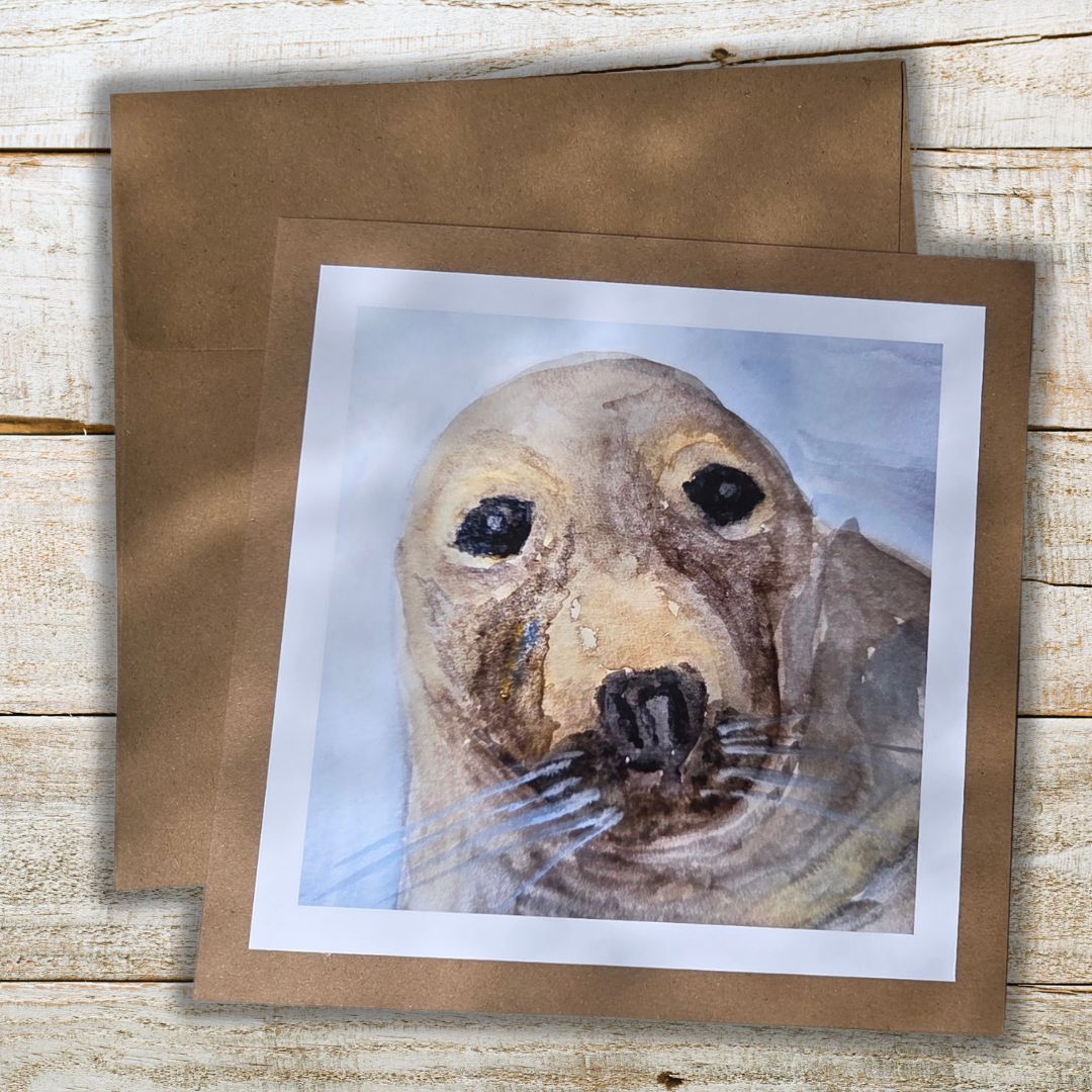 Cornish Grey Seal Print 