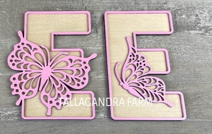 Custom Laser Engraved Letters
