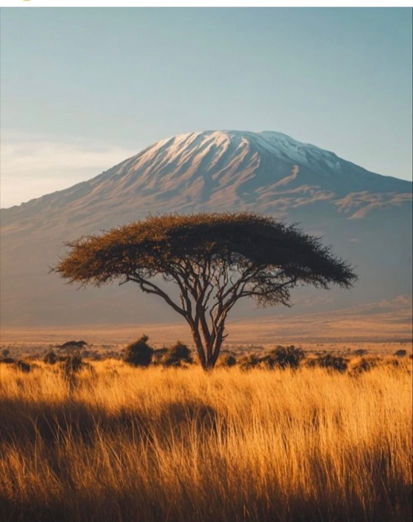 🏔️ Machame Route