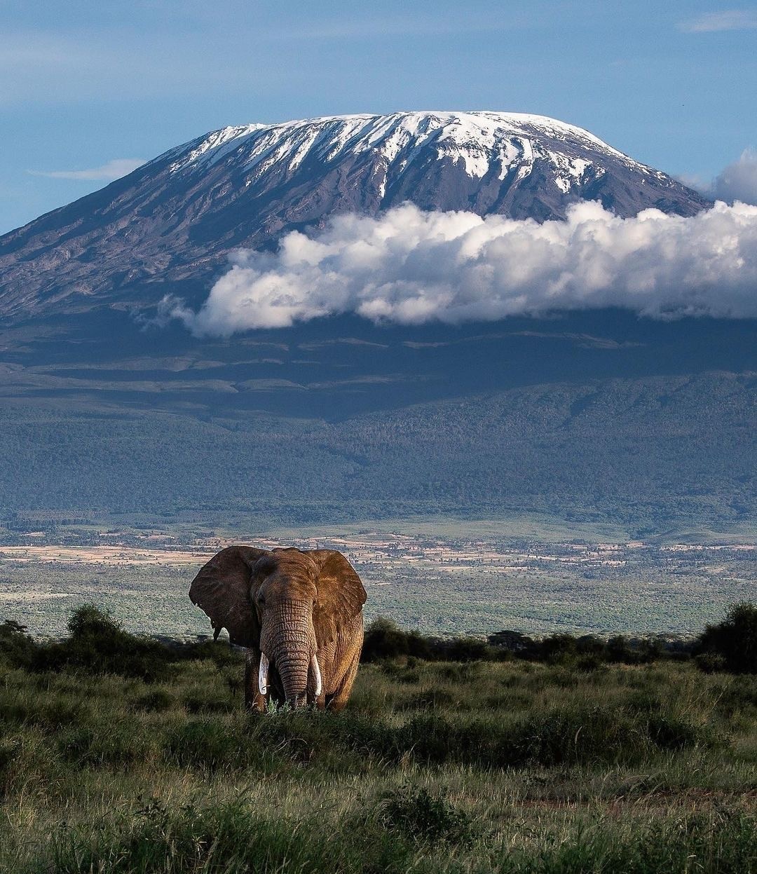 🏔️ Rongai Route 