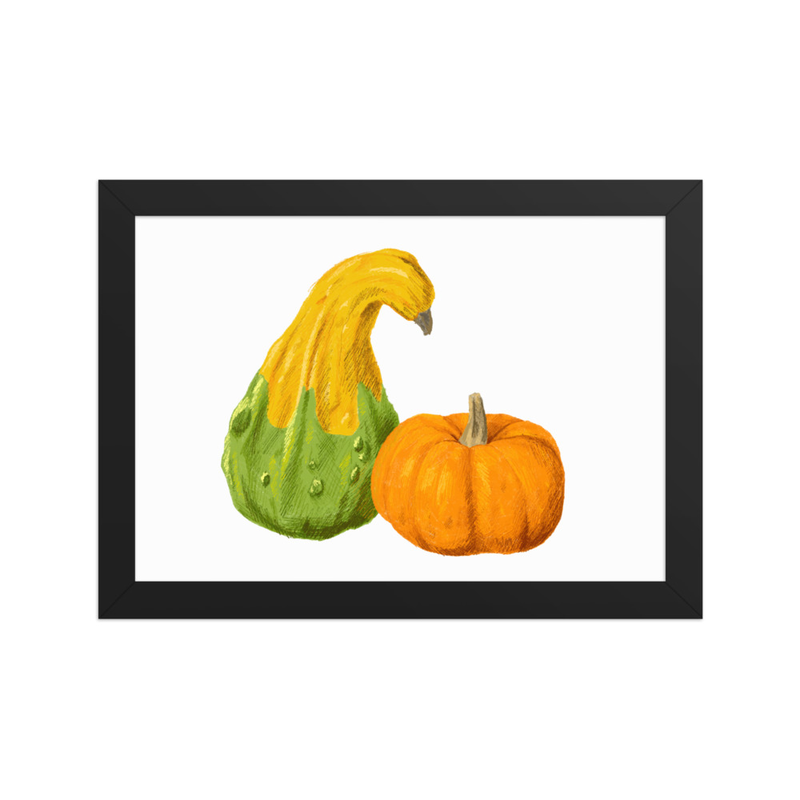 Fall Gourds (Framed Poster)