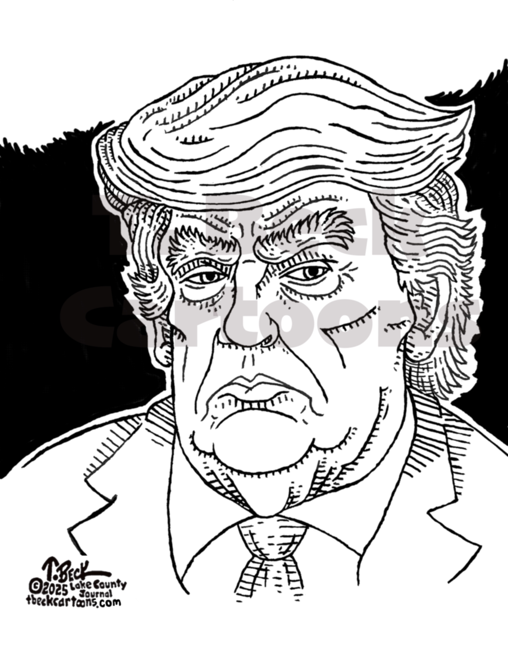 Trump Caricature