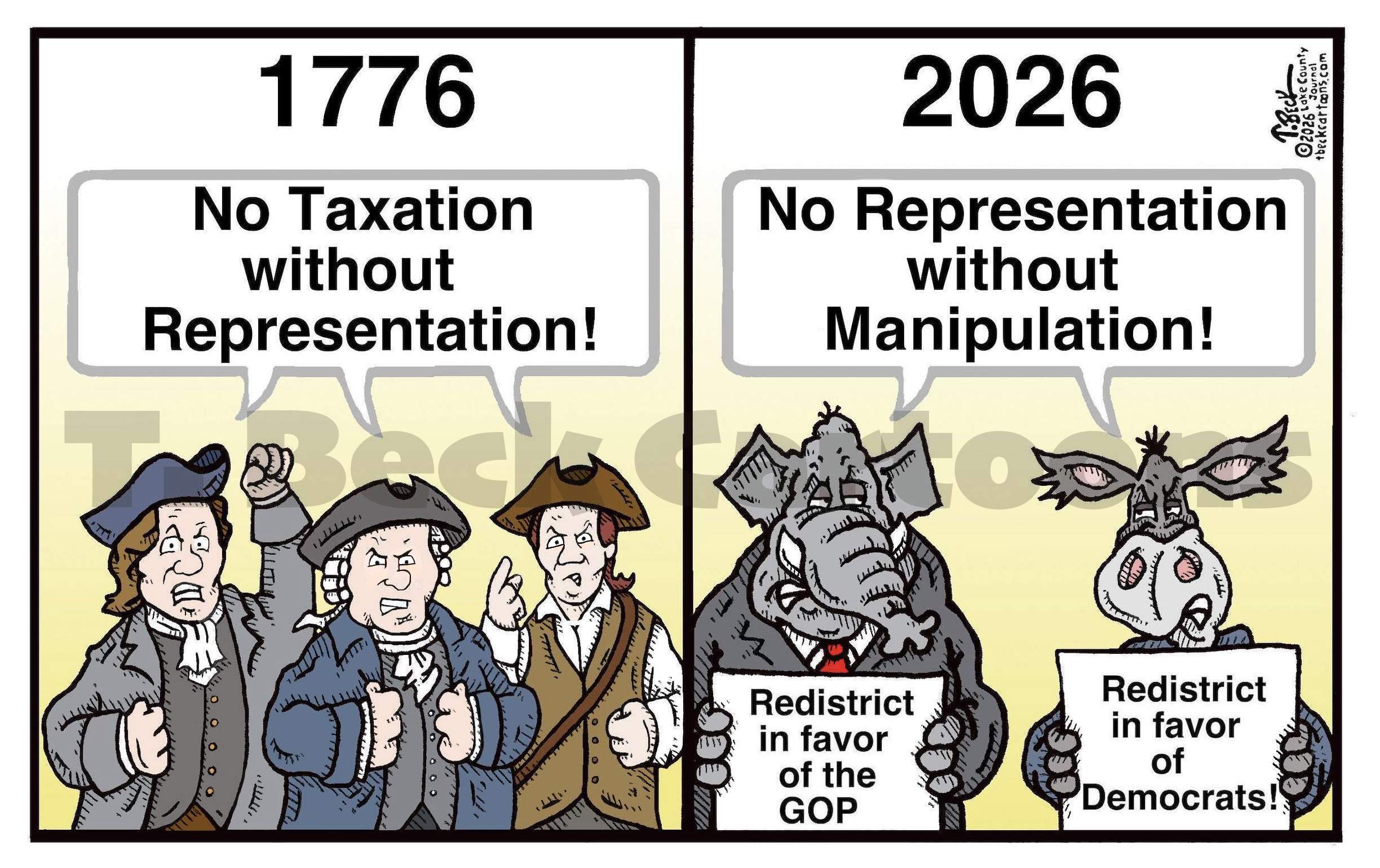 Voter Representation