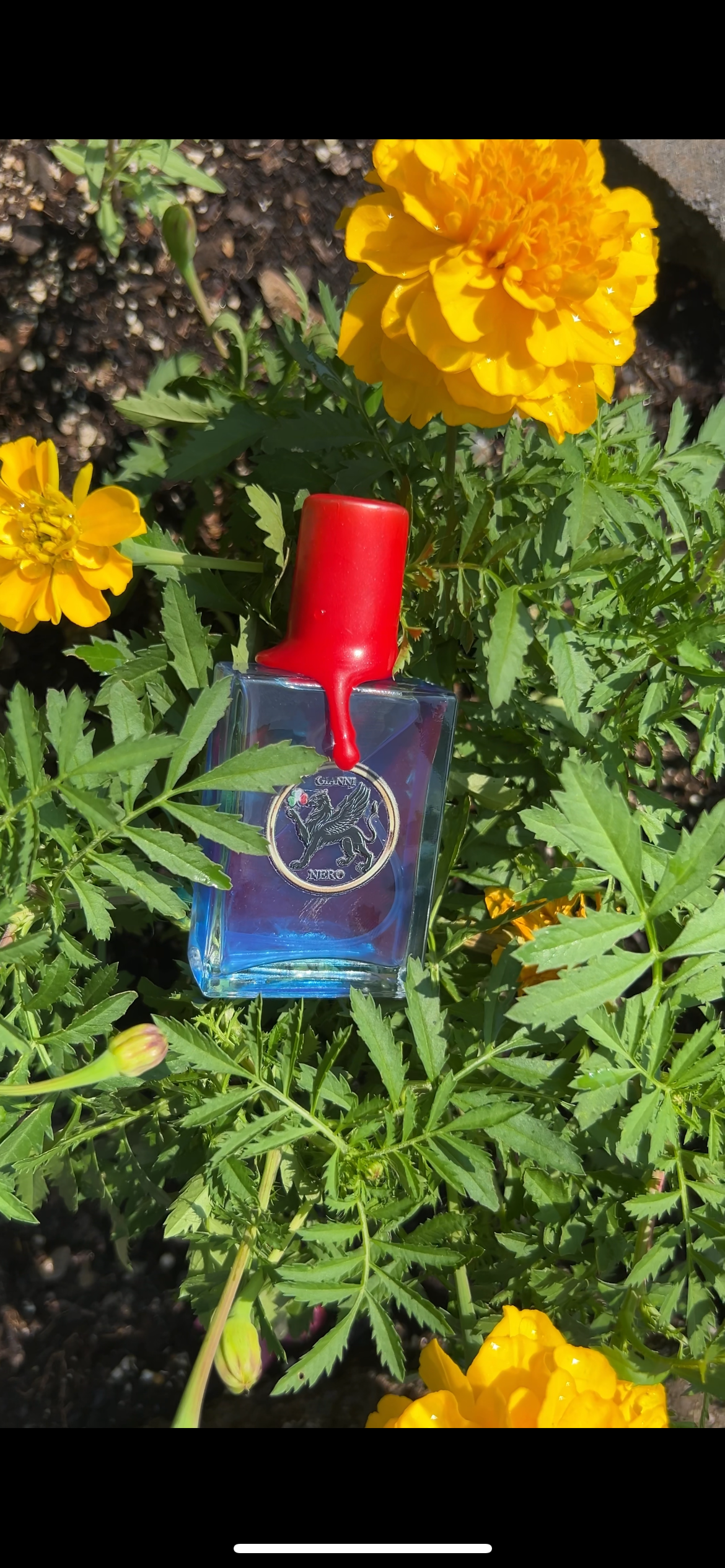 Gianni Blu - Azzurra