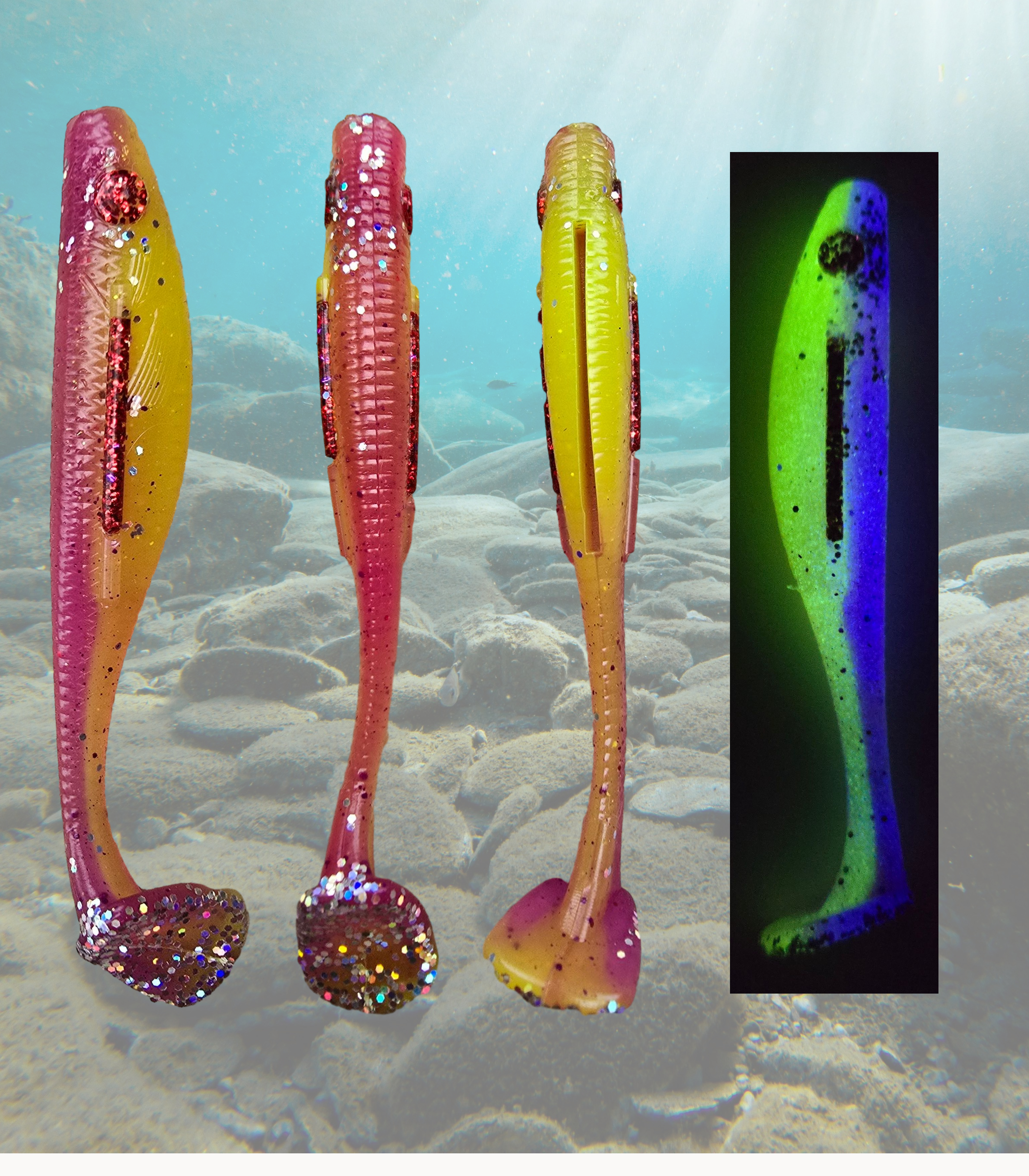 Red Bull Paddle Tail