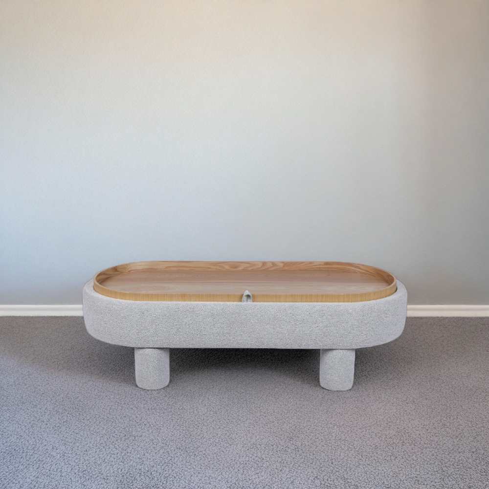 Modern Coffee Table