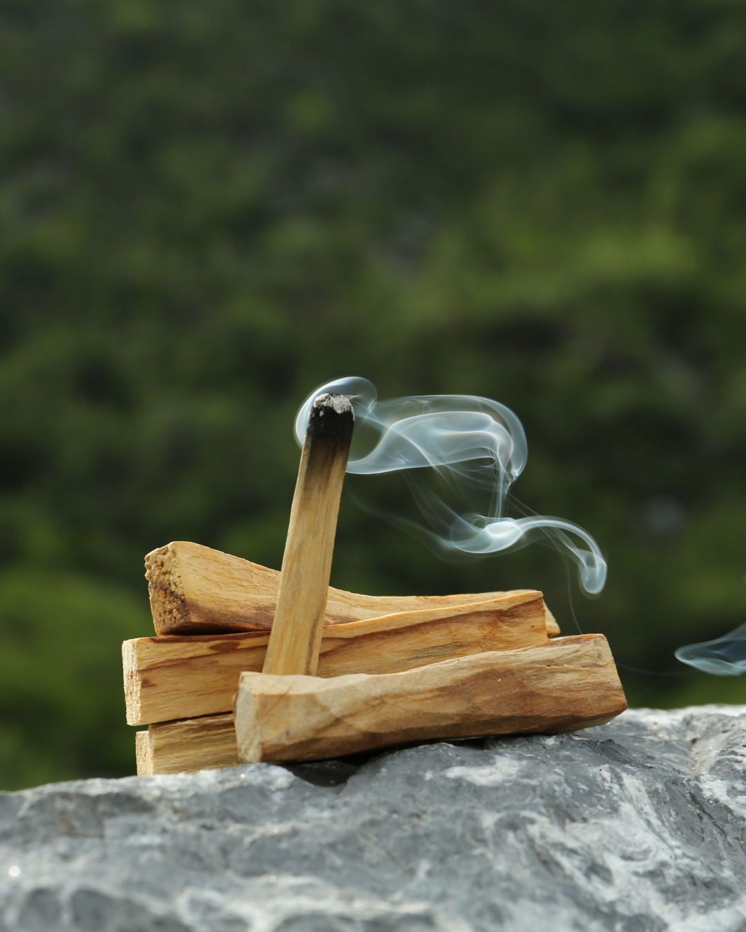 Palo Santo Sticks