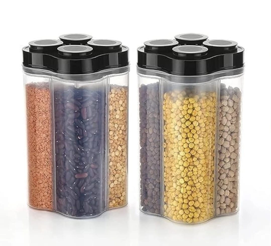 Multi-Section Storage Container