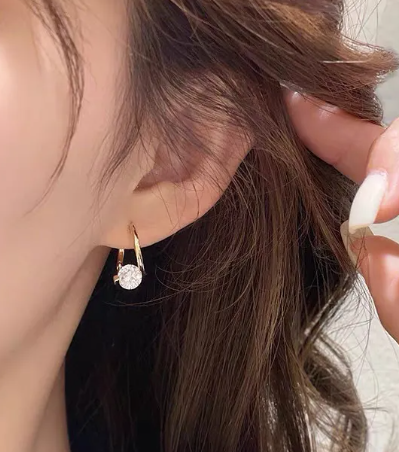 Geometric Micro-inlaid Zircon Earrings Korean Niche Earrings Earrings Women's Exquisite Temperament Earrings Wholesale