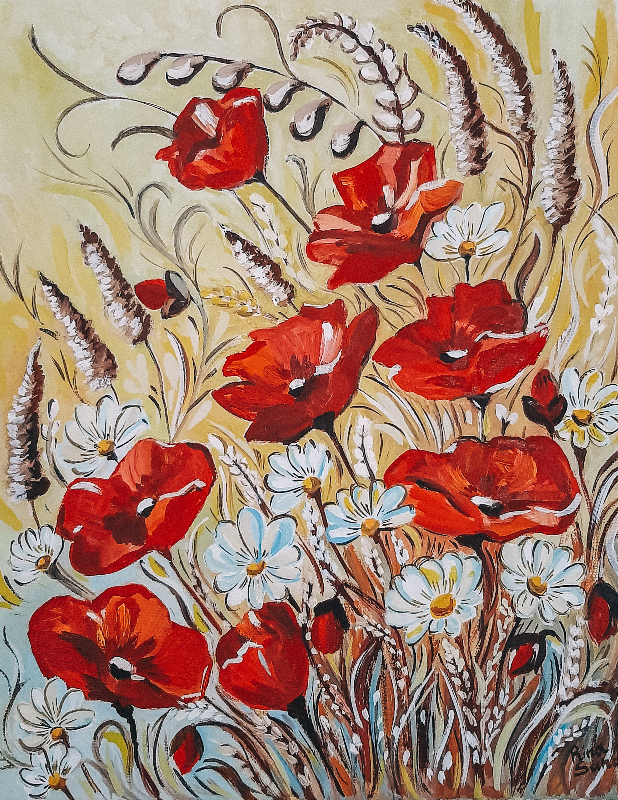 Red poppies