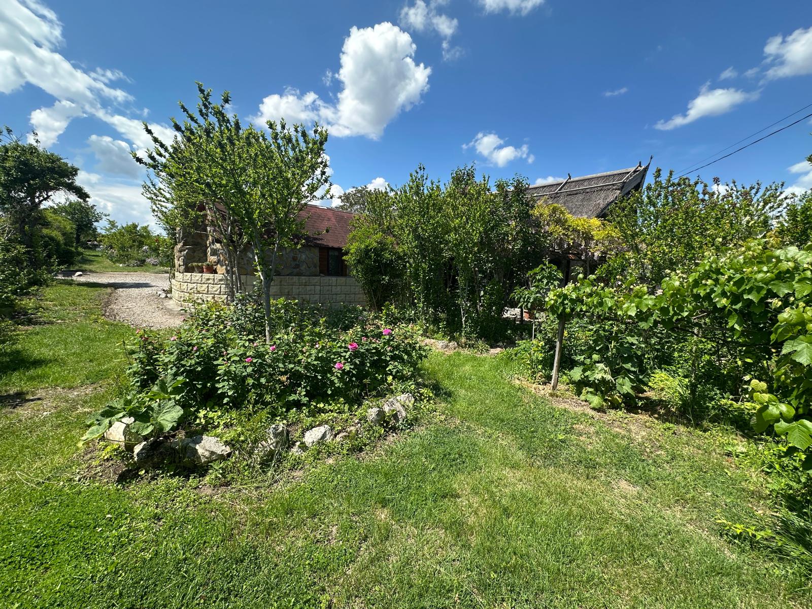 Loc. Murighiol - casa