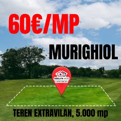 4️⃣0️⃣5️⃣ Loc. Murighiol - teren extravilan