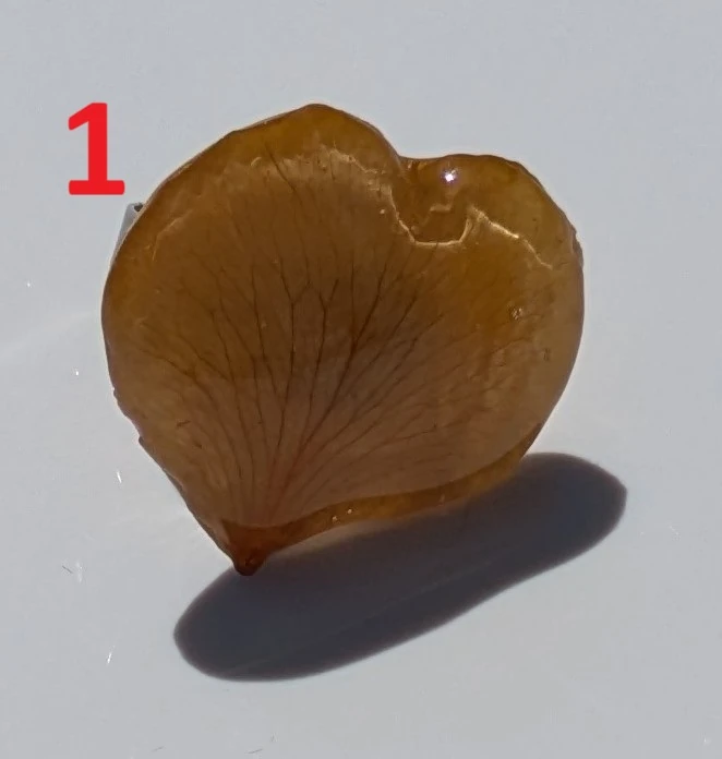 Bague bohème Pétale de rose