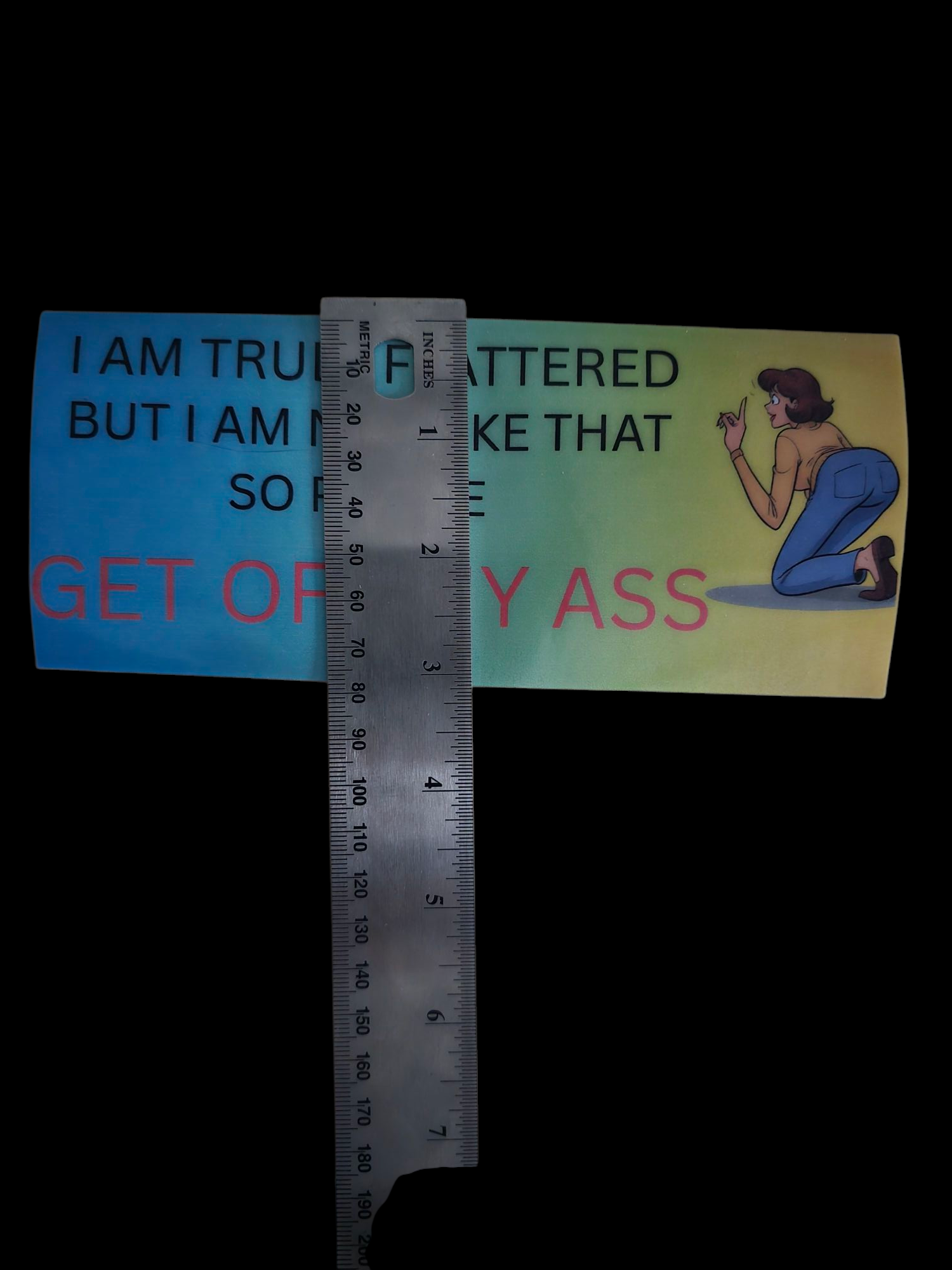 Funny Anti Tailgaters Bumper Sticker