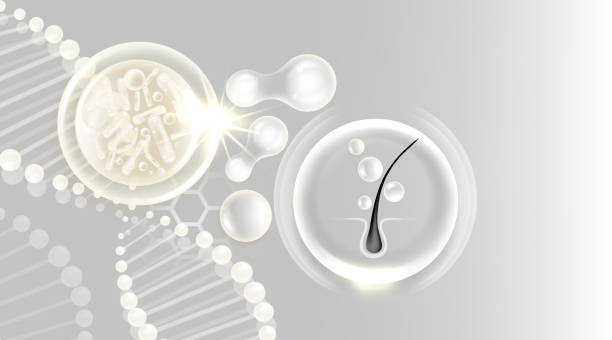 Hair Follicle Drug Testing
