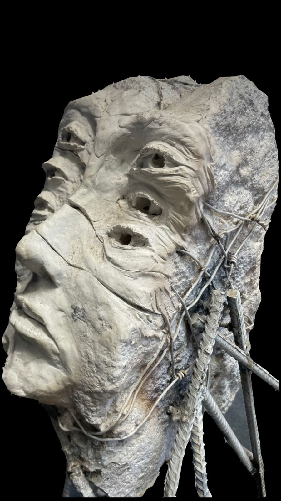 Guardian  del Bosque