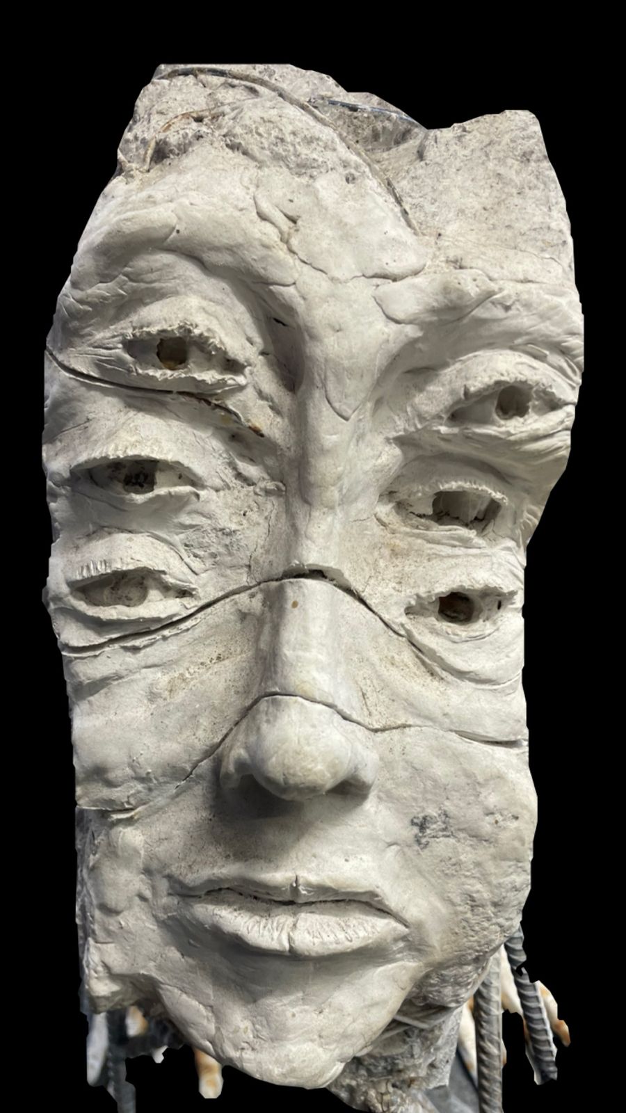 Guardian  del Bosque