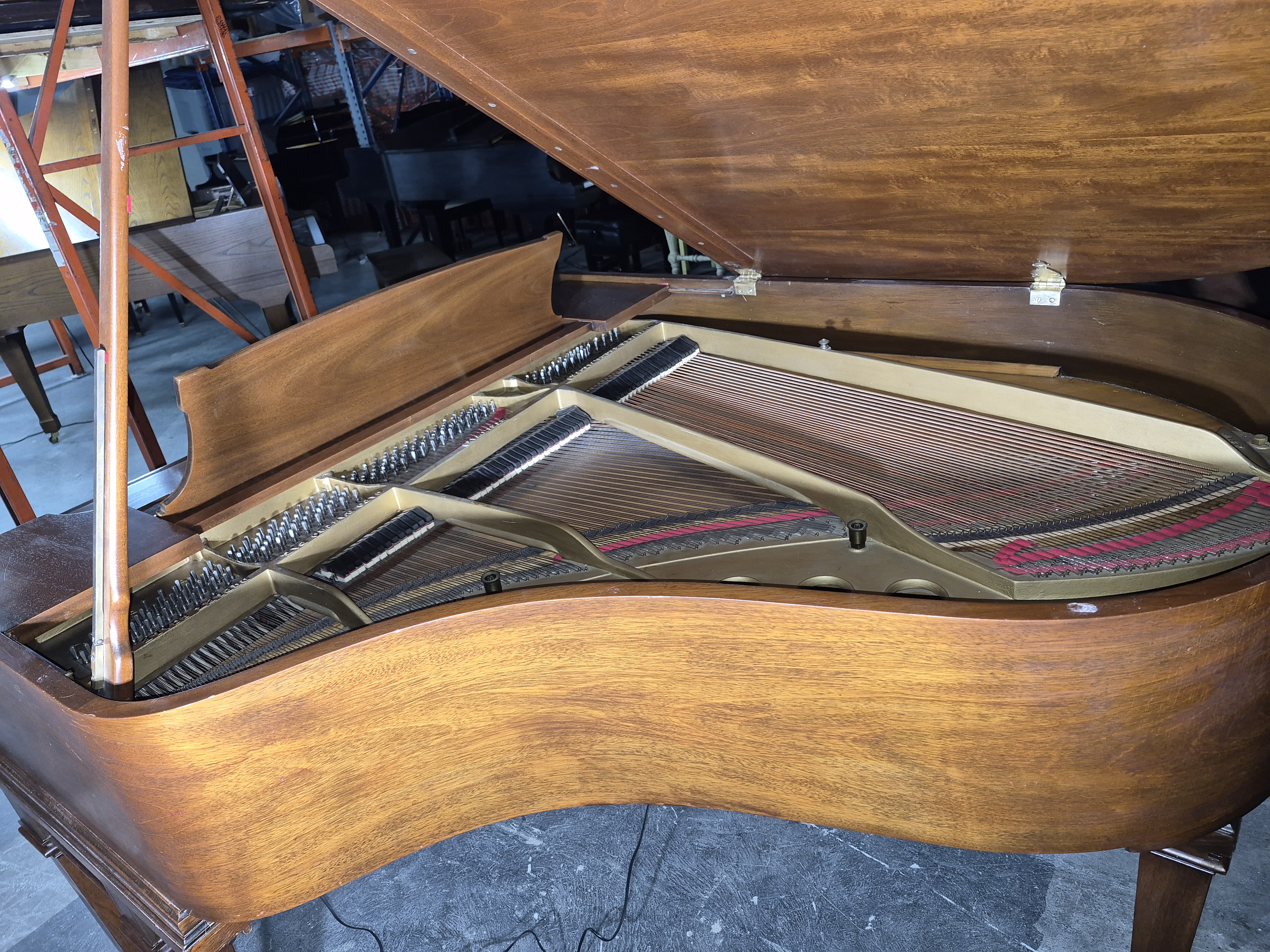 M331 Steinway & Sons Grand Piano - Restauración Premium y Envío Incluido JB